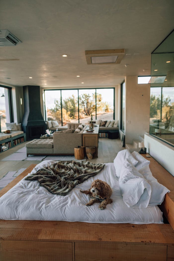 services-03 A contemporary Joshua Tree bedroom with plush bedding, stylish decor, and scenic views.